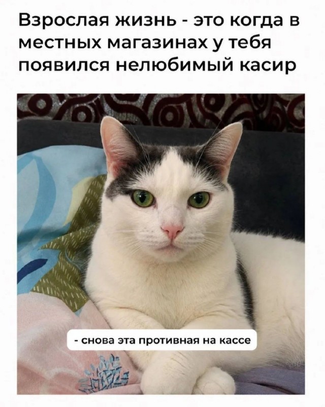 Картинки на среду