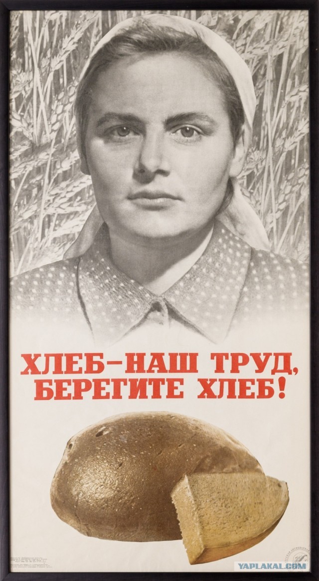 Первый рабочий день с папой