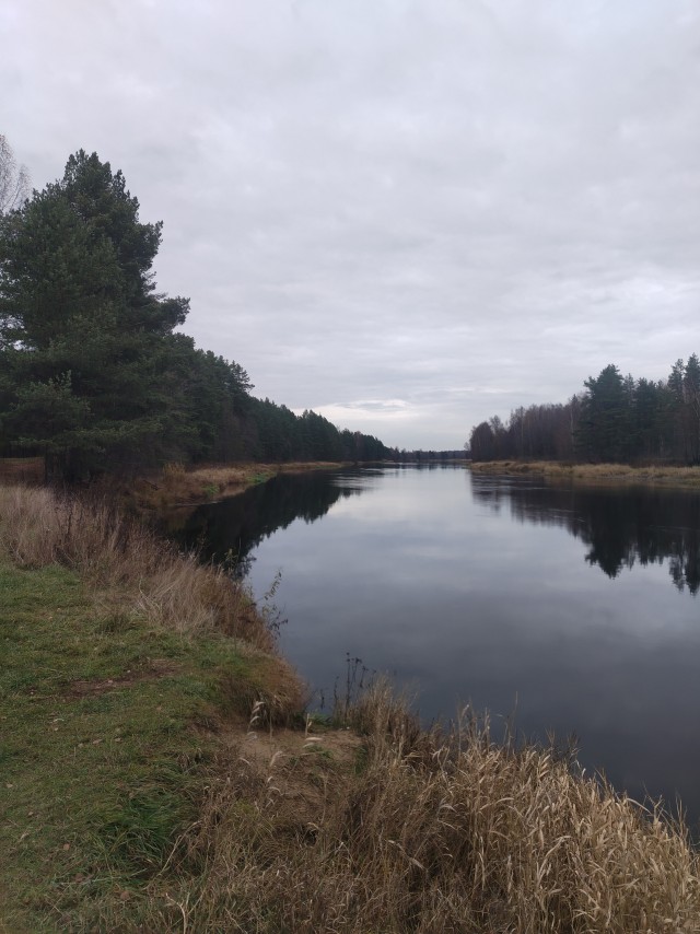 Рыбалка грустное