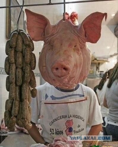 Удачный ракурс