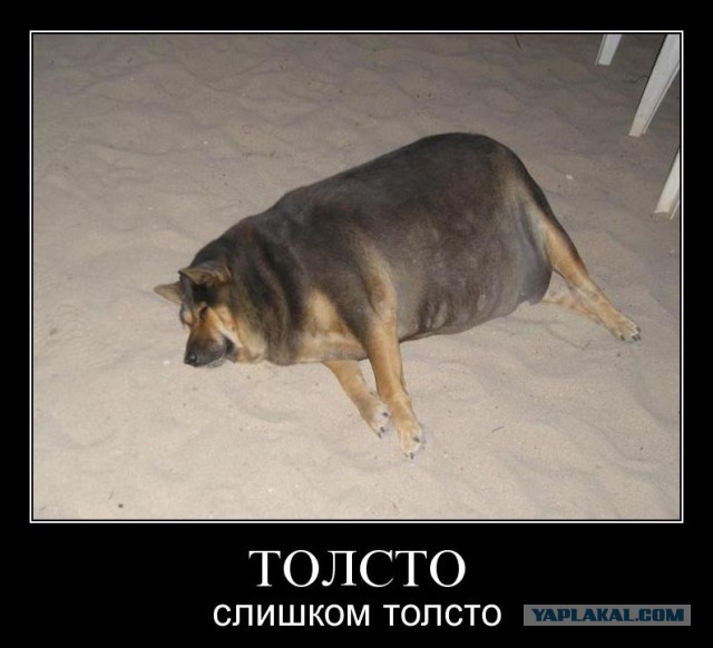 "Убийца Айфона" поступил в продажу!
