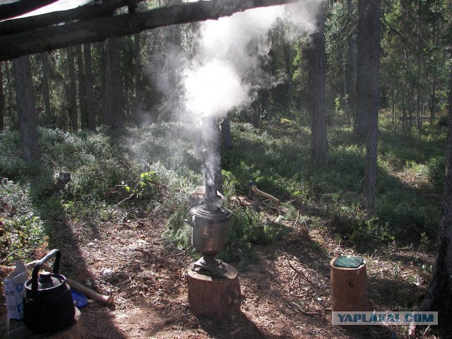 Американский weekend