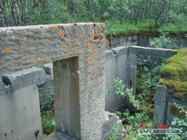 Отчет Банды маргиналов или трэш на Северах