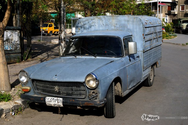 Что за монстры населяют Дамаск