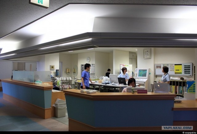 Один день врача-гепатолога в Японии