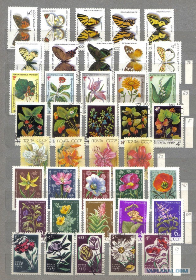 Находка при разборе антресолей