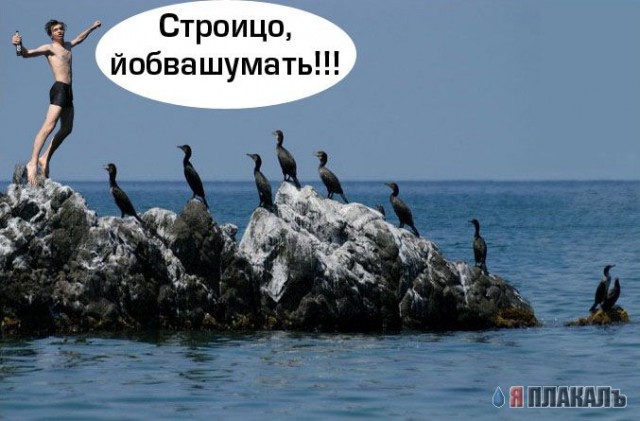 Фотожаба: Летун пивной, обыкновенный