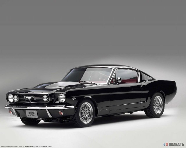 Ford Mustang (3 фото)