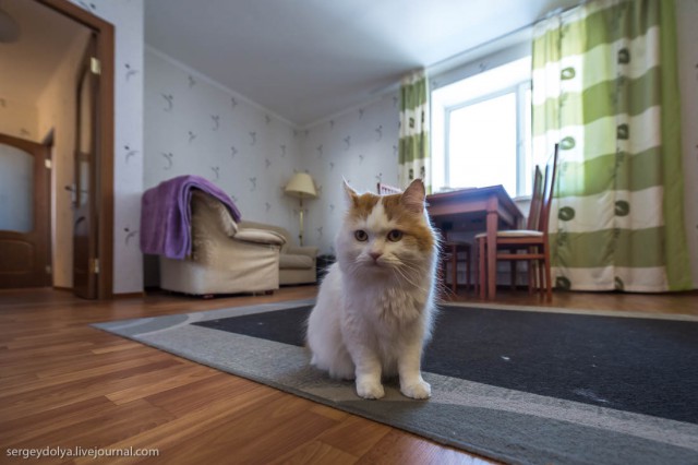 Как и чем живут наши на Шпицбергене в Баренцбурге