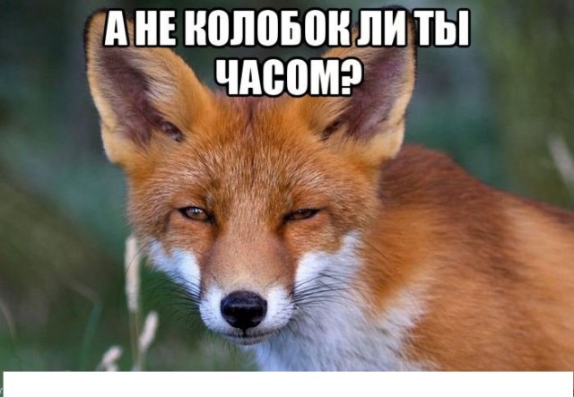 Смешные комментарии из социальных сетей 22.07.2016