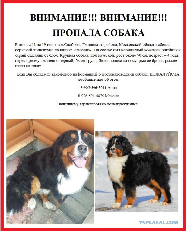 Крепкие и мужественные