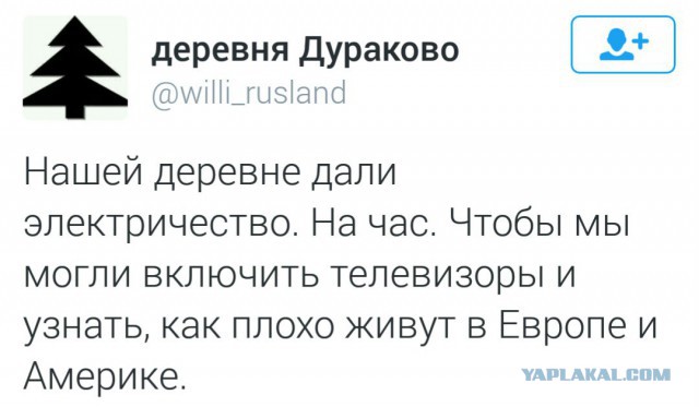 "Отсталую Россию могут восхвалять только дураки". Чех о России