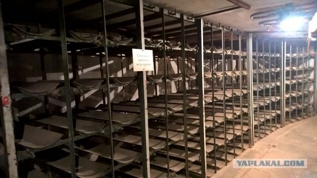 Каникулы во Владивостоке