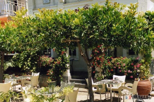 Моя Хайфа...