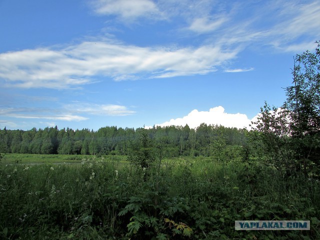 Сплав по реке Усьва (Пермский край)