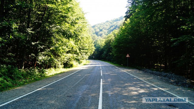 Просто Природа