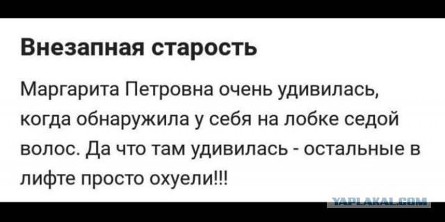 Зря вы это всё...