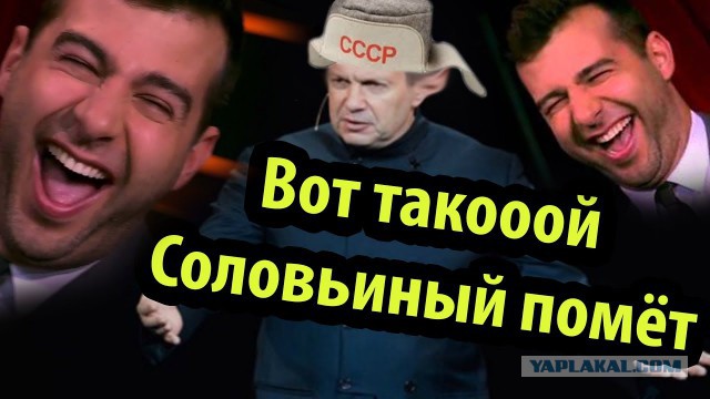 Эксперт анализирует передачу "вечер с Владимиром Соловьевым!"