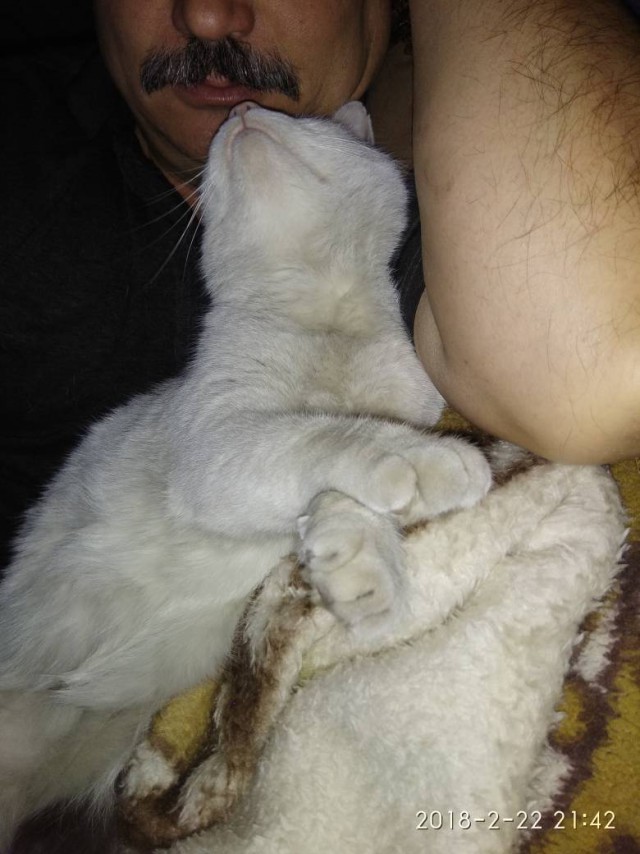 Котовторник 20.03.2018