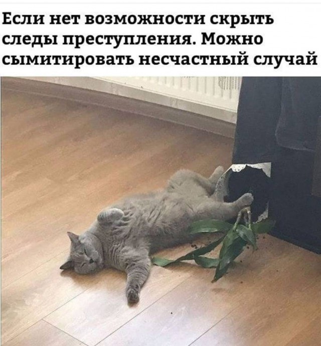 Развиваешься себе, тут опа-на и деградация пришла!