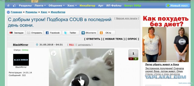 С добрым утром! Подборка COUB в последний день весны.