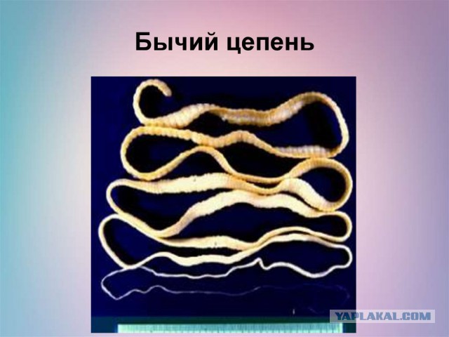 Женщина "похудела" на полмиллиона рублей