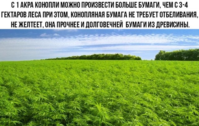 Выловлено в наших сетях