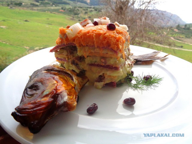 Селедка под шубой - 2019