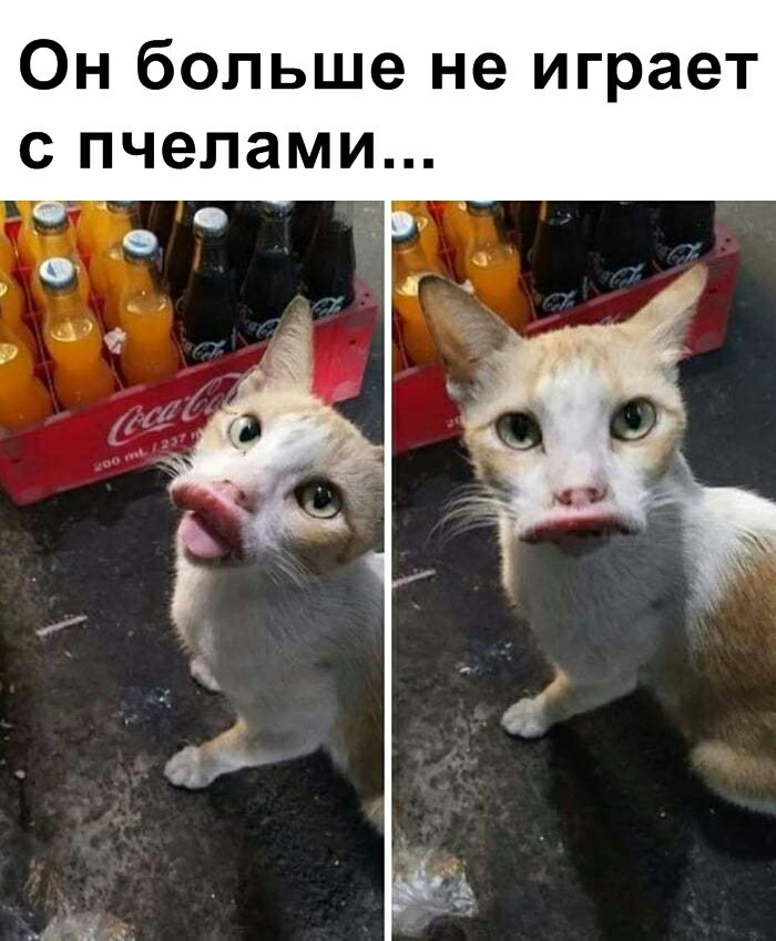 Не очень адекватный юмор