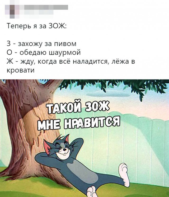 Всякая всячина #11