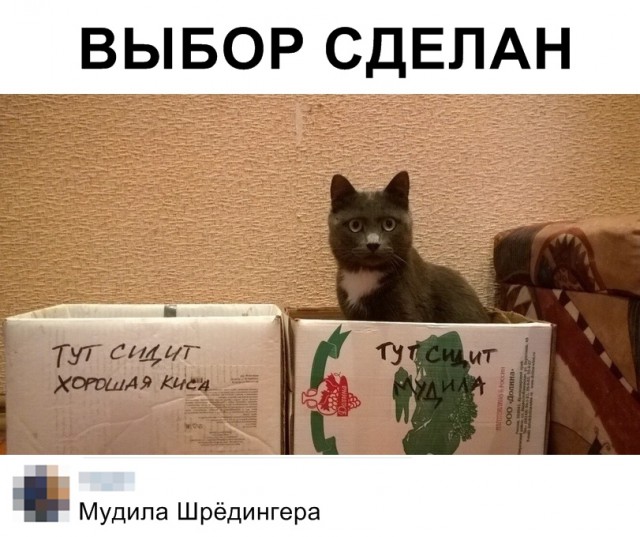 Нестандартный юмор
