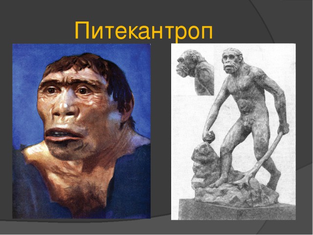 Страшный случай произошел в одном из карельских лифтов...