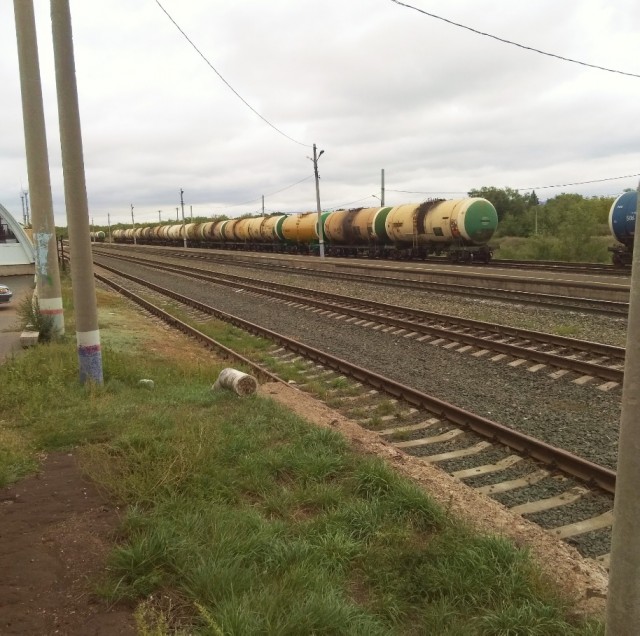 Про безопасность, глупость и сохранность жизни