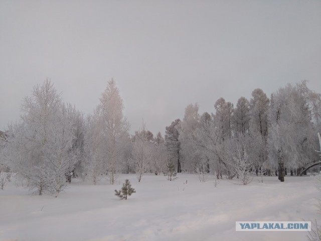 Немного зимних фото