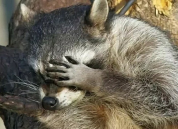 Фото с сайта знакомств 2