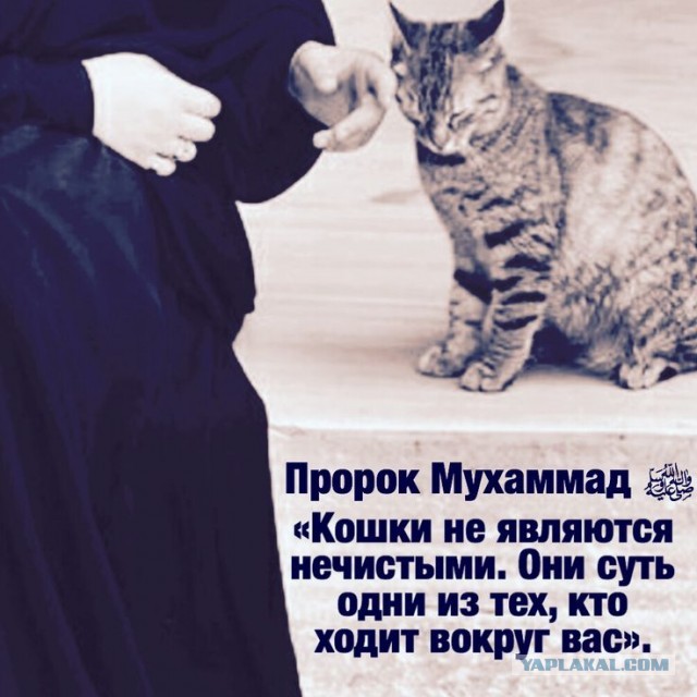 Чего нельзя делать в Саудовской Аравии..