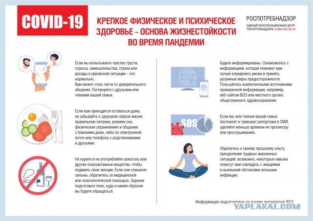 Пандемия. Коронавирус. Россия и мир. Последняя информация. Часть 11