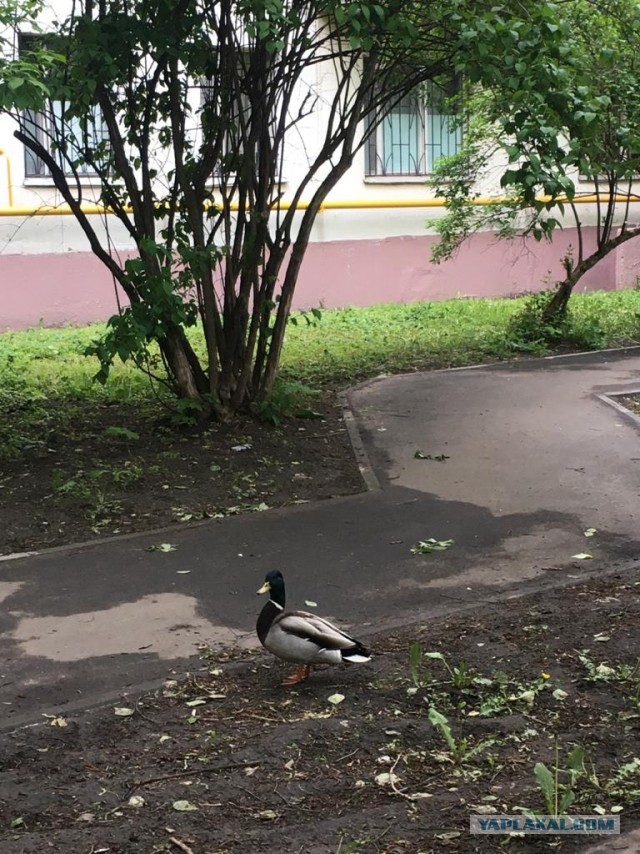 Давайте делиться фотками прошедшего дня