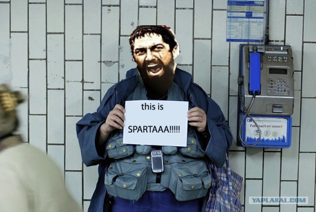 Онотоле требует спокойствия