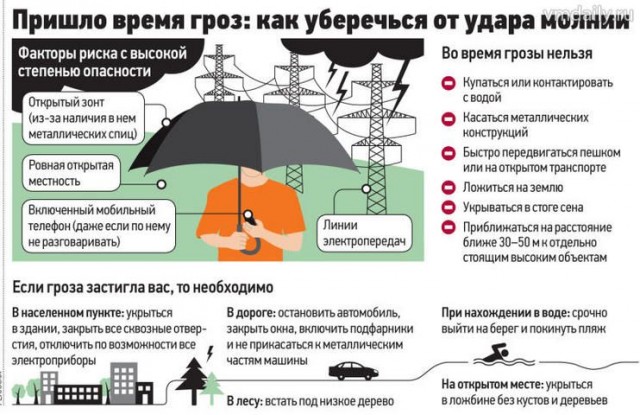 Молния ударила в отдыхающих в московском парке «Коломенское»