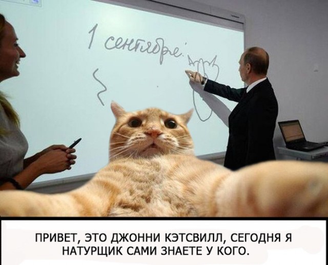 Приключения Джонни Кэтсвилла