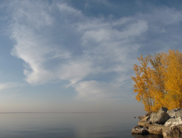 Новосибирская осень. Фотокарточки