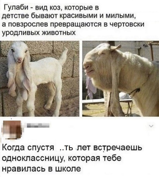 Картинки с надписями и всякие жизненные фразы 7.01.2021