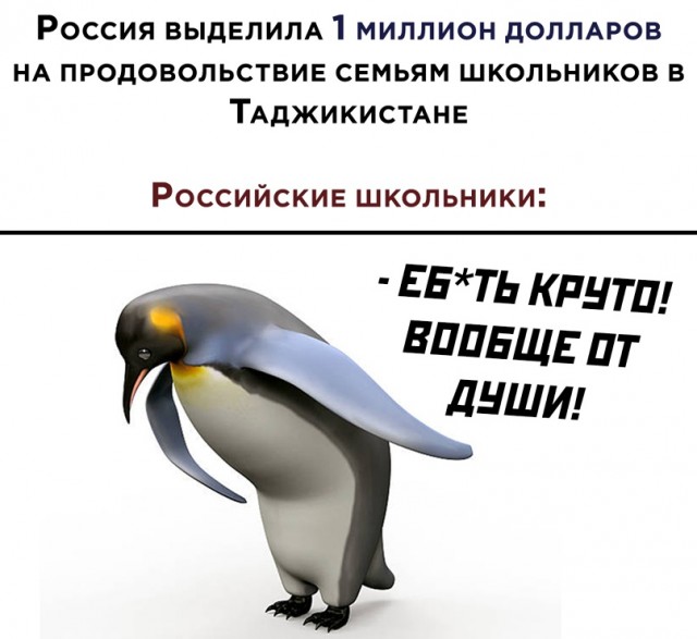 Пингвин кланяется мем