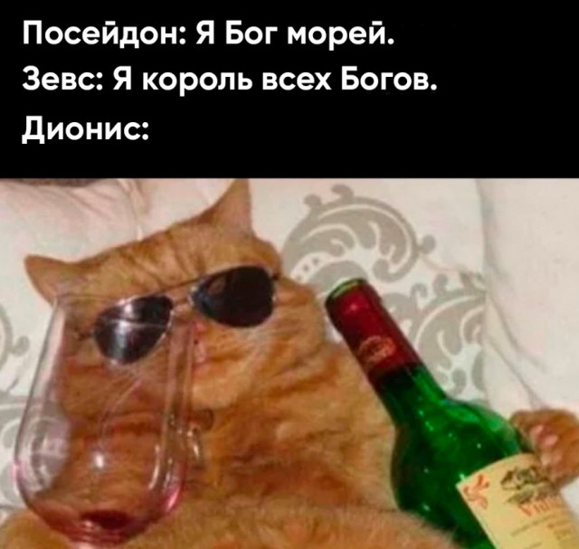 Весёлый полтишок 20.03