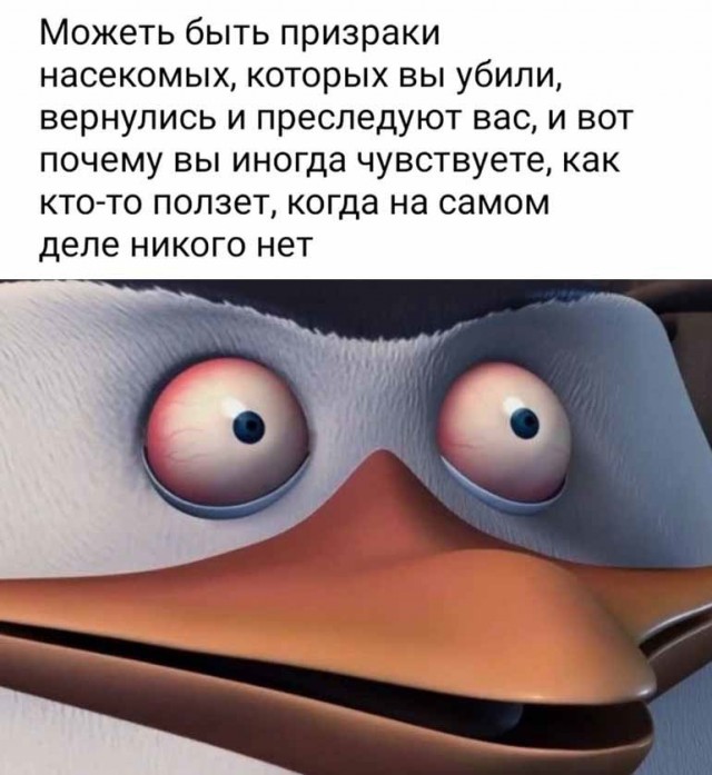 Весёлый полтишок 22.03