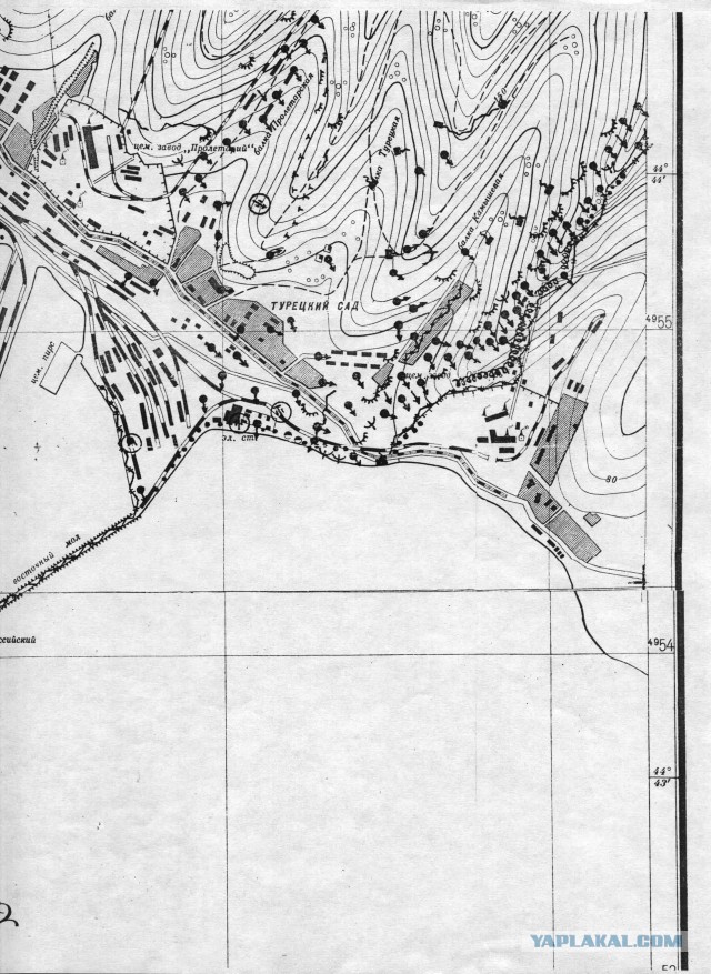 Железная воля Цезаря. Главный подвиг майора Куникова