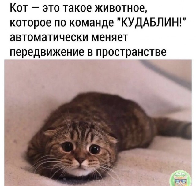 Картинки и мемы для настроения 24.08.2021