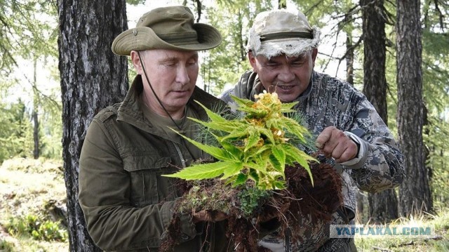 Путин посетил провинциальный магазин вместе с Шойгу