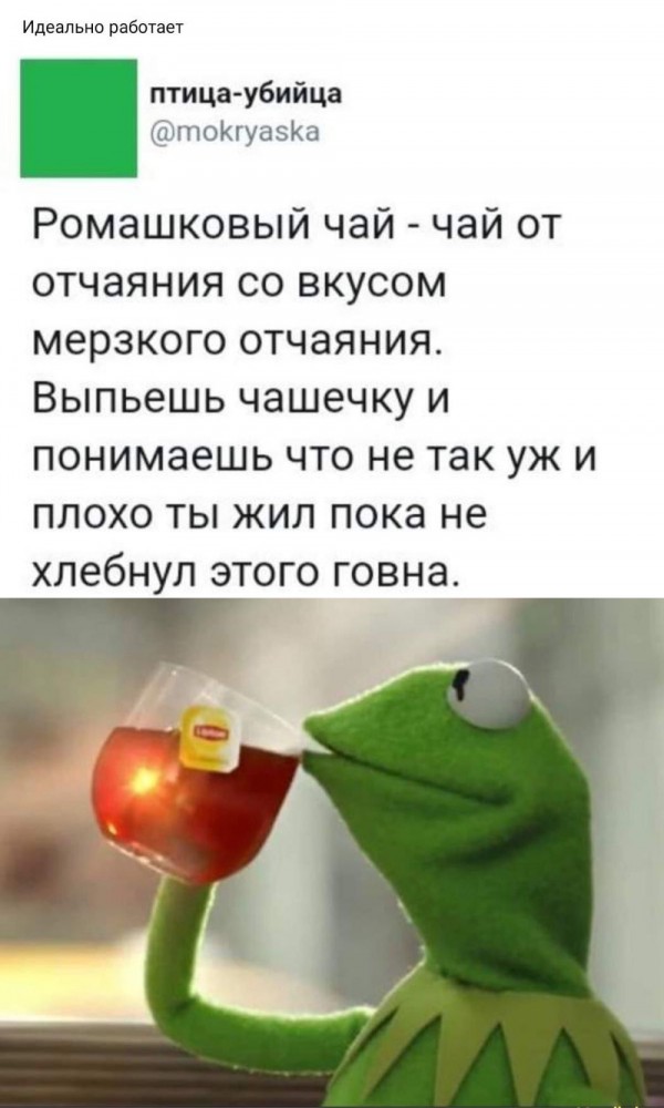 Так себе картинки 05.11.21